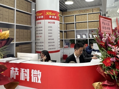 6382977991270386609390393