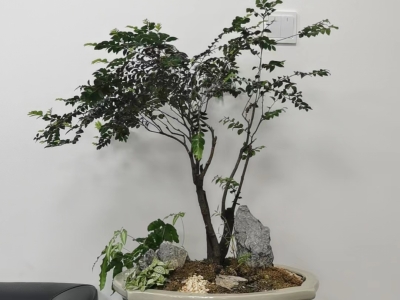 6383263948747789954292370