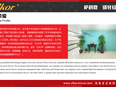 6385682668260468837738189