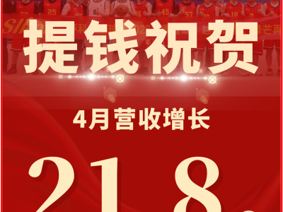 6388212469261328134252948