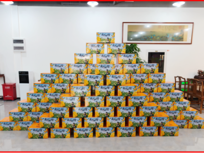 20d732f2-43f0-45d9-a4f5-049fee4cdbc2