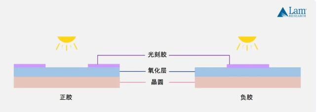 e99b67877a5e8d46fc5257a7d7d406a4