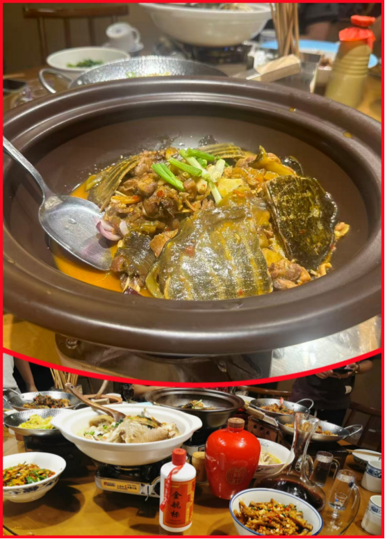 fec79f47-cf4b-4d38-84d5-f483077462e7